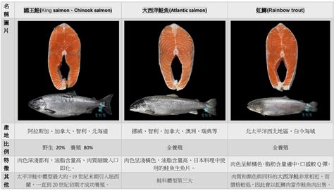 白色的魚|鮭魚其實是「白肉魚」？餐桌上的紅肉魚、白肉魚怎麼分？ @ 食。